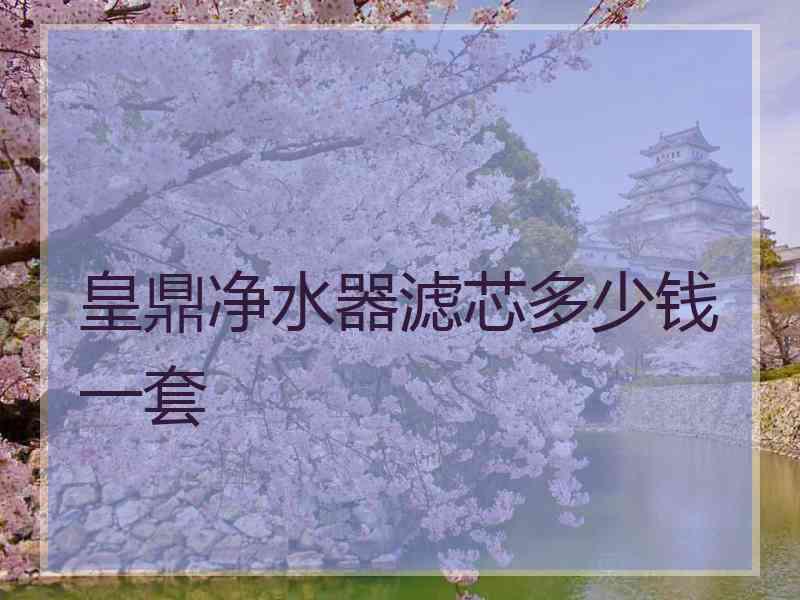 皇鼎净水器滤芯多少钱一套
