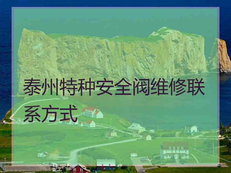 泰州特种安全阀维修联系方式