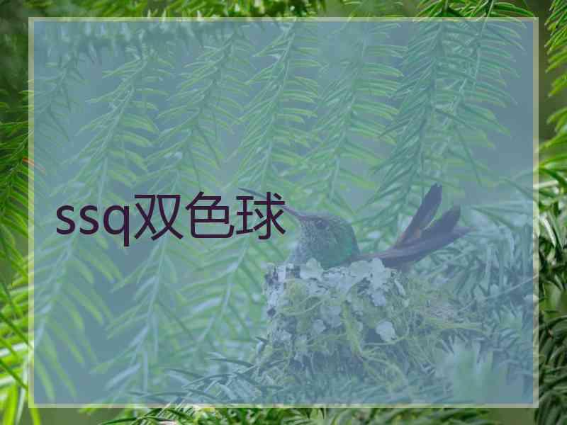 ssq双色球