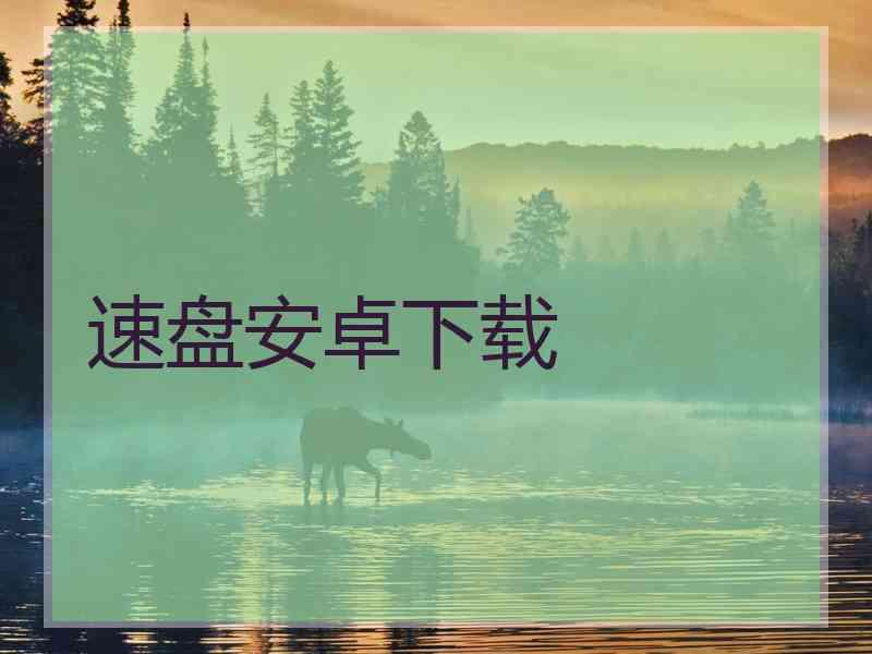 速盘安卓下载
