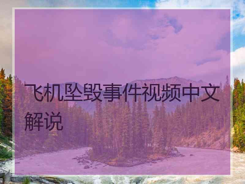 飞机坠毁事件视频中文解说