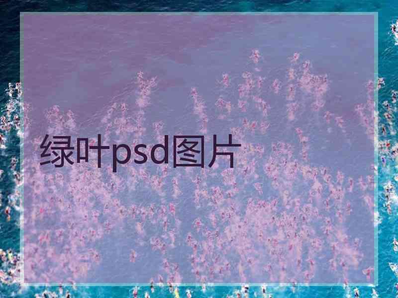 绿叶psd图片