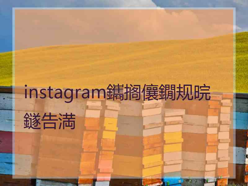 instagram鑴搁儴鐗规晥鐩告満