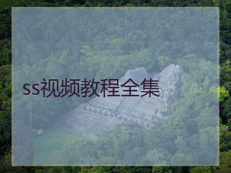 ss视频教程全集