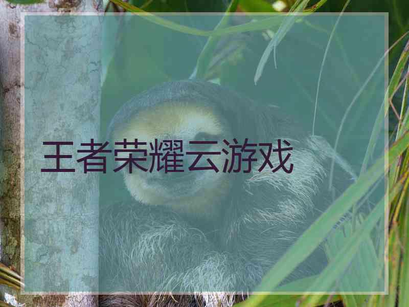 王者荣耀云游戏