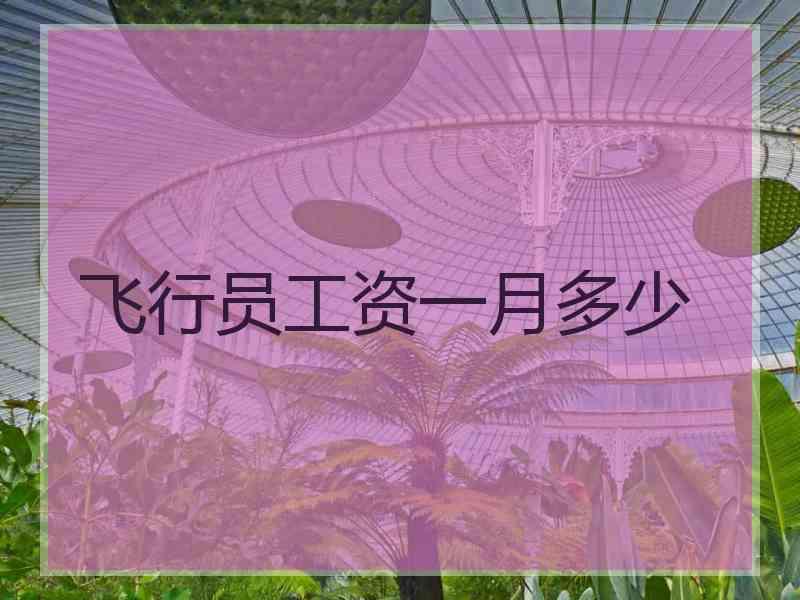 飞行员工资一月多少
