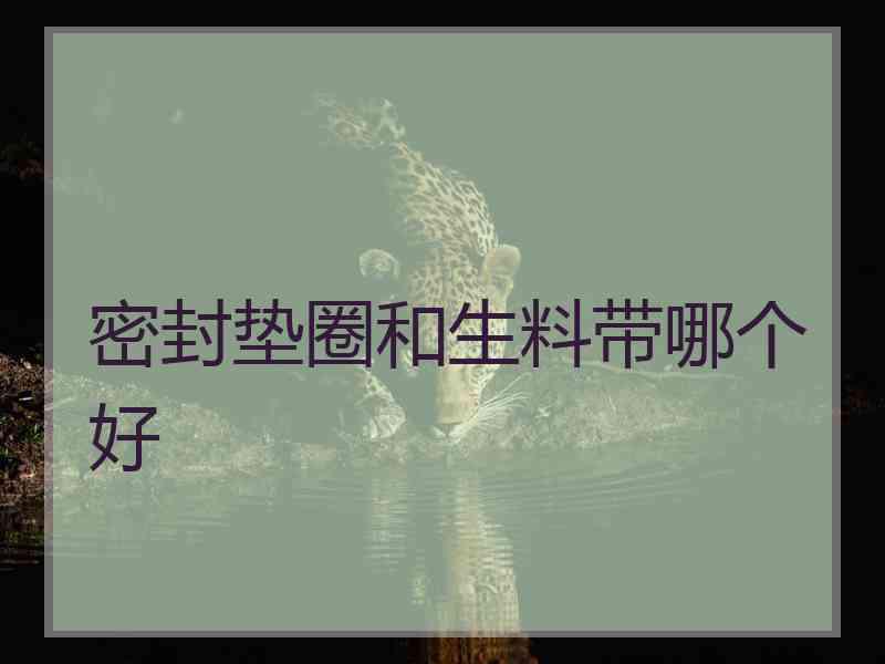 密封垫圈和生料带哪个好