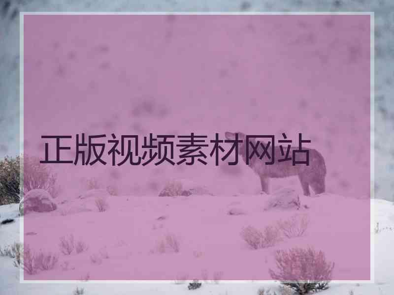 正版视频素材网站