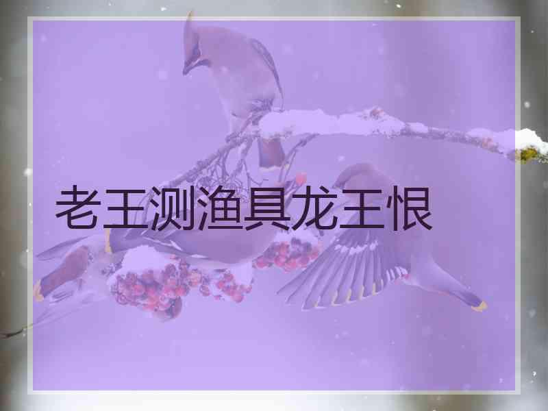 老王测渔具龙王恨