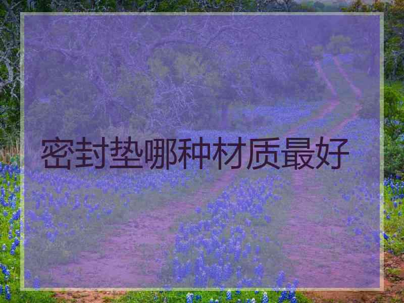 密封垫哪种材质最好