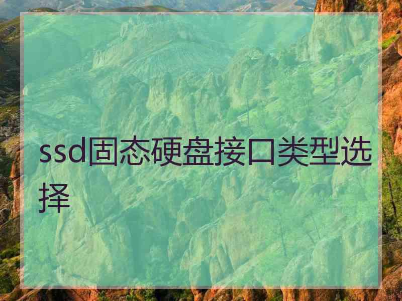 ssd固态硬盘接口类型选择