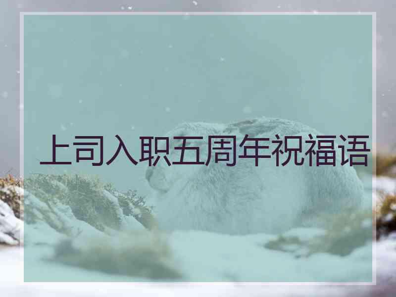 上司入职五周年祝福语