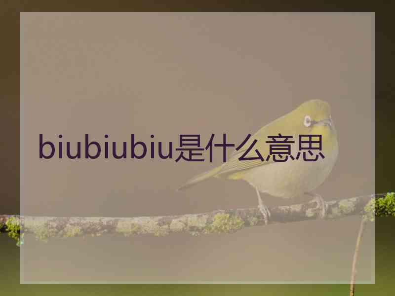 biubiubiu是什么意思