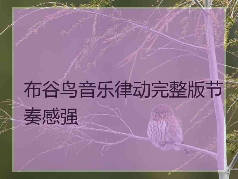 布谷鸟音乐律动完整版节奏感强