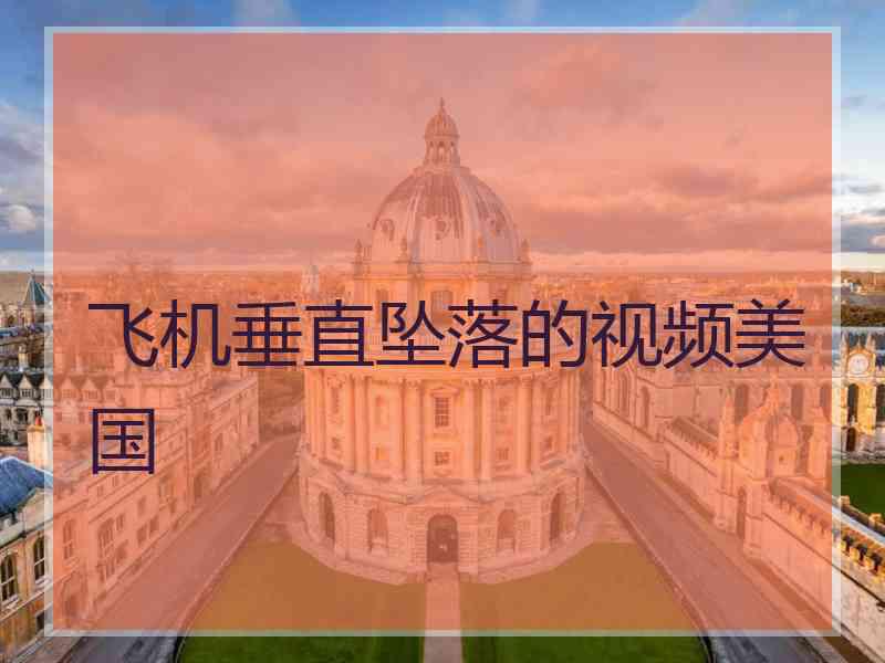 飞机垂直坠落的视频美国