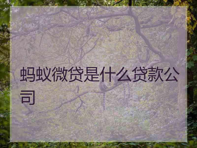 蚂蚁微贷是什么贷款公司