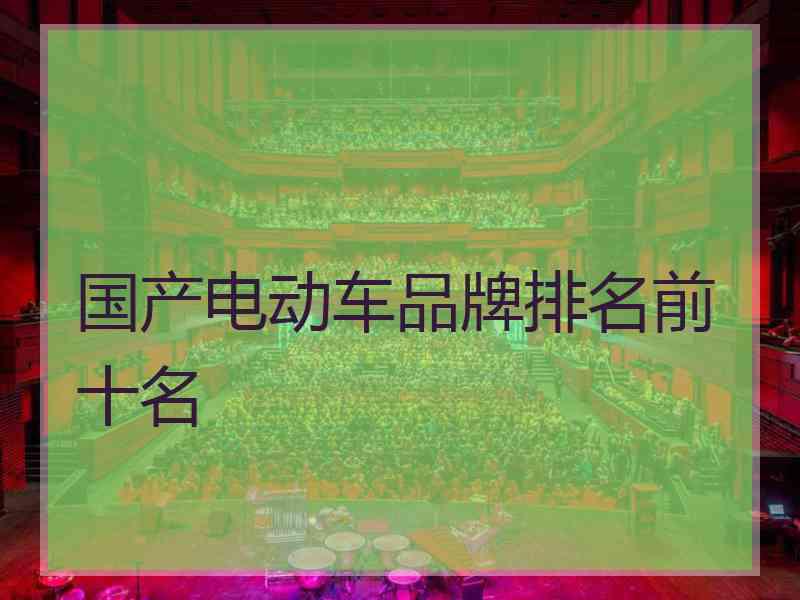 国产电动车品牌排名前十名