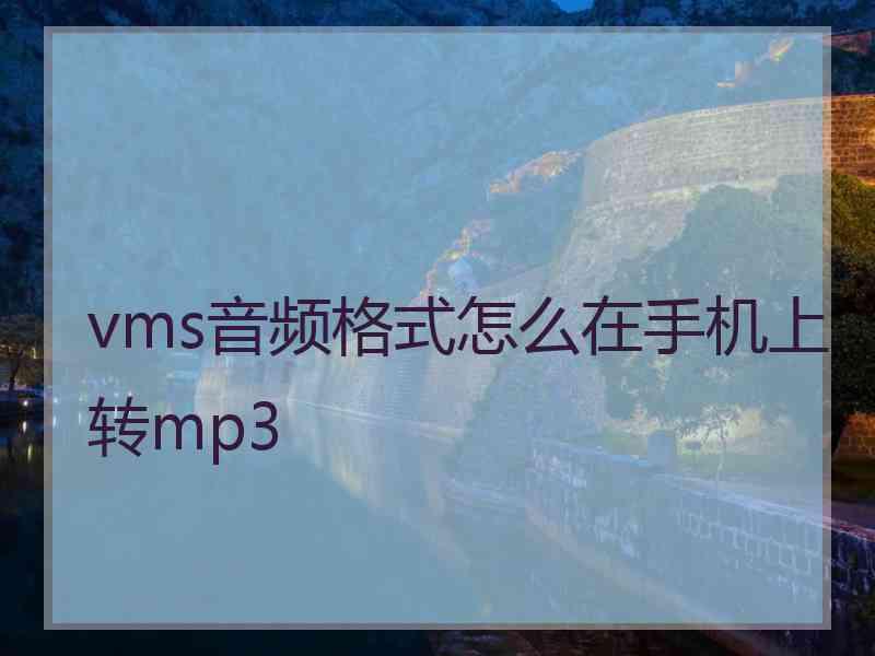 vms音频格式怎么在手机上转mp3