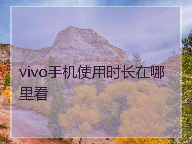 vivo手机使用时长在哪里看