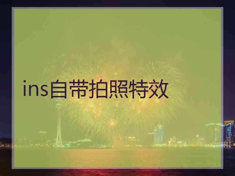 ins自带拍照特效