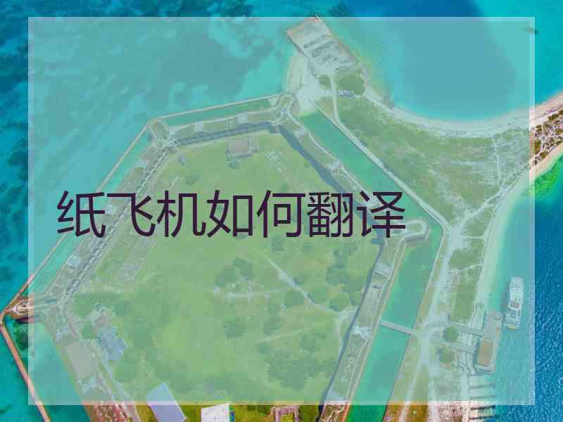 纸飞机如何翻译
