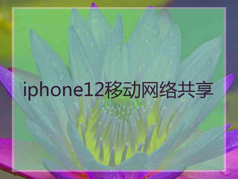 iphone12移动网络共享