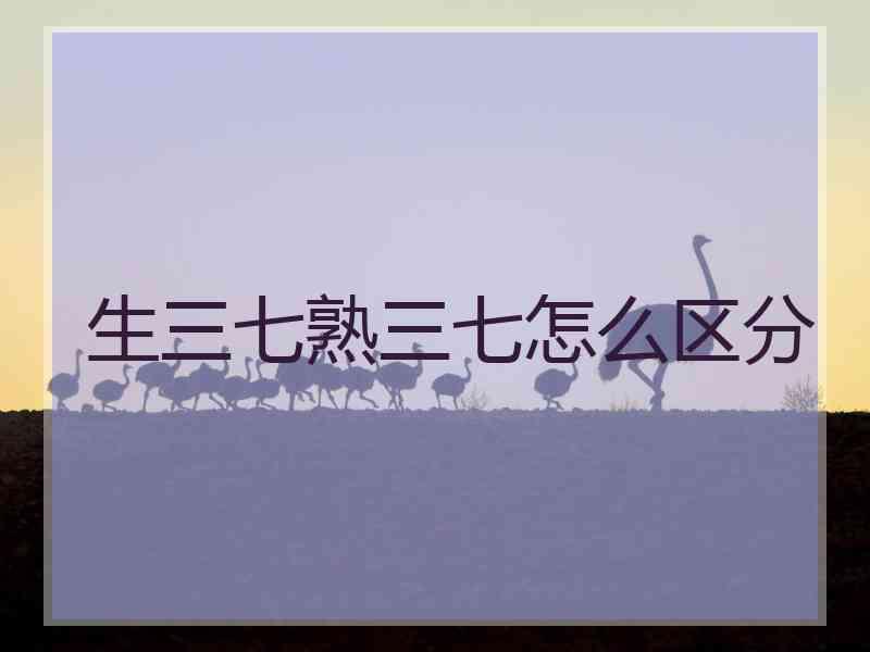 生三七熟三七怎么区分