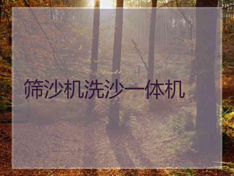 筛沙机洗沙一体机