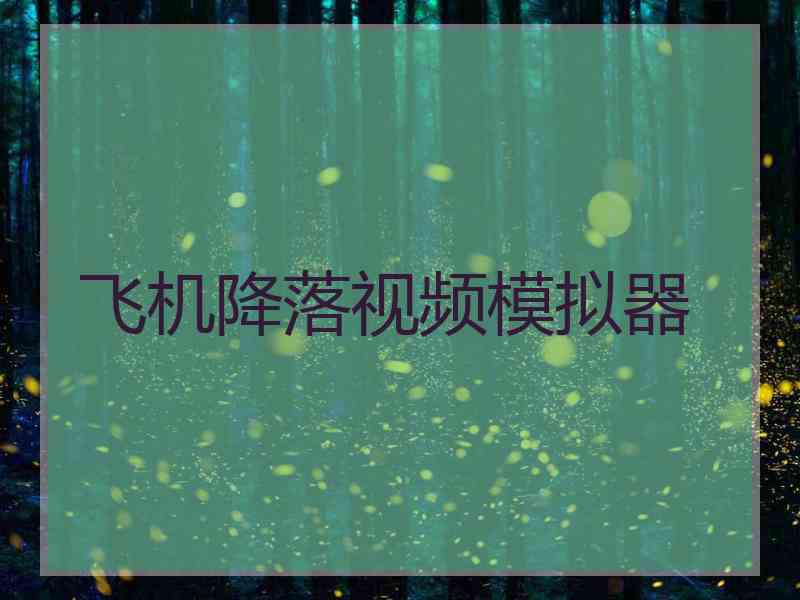 飞机降落视频模拟器
