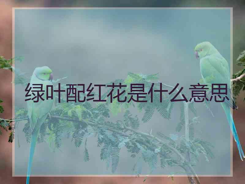 绿叶配红花是什么意思