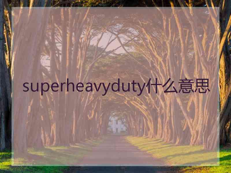 superheavyduty什么意思