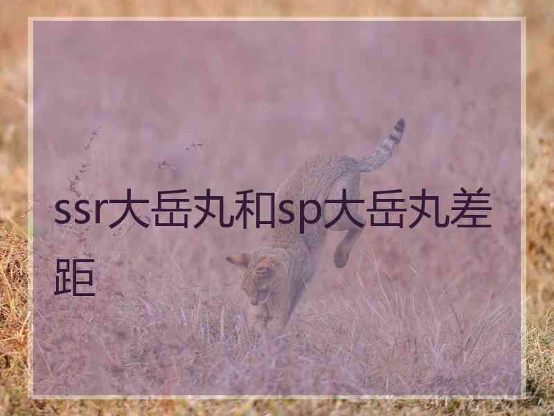 ssr大岳丸和sp大岳丸差距