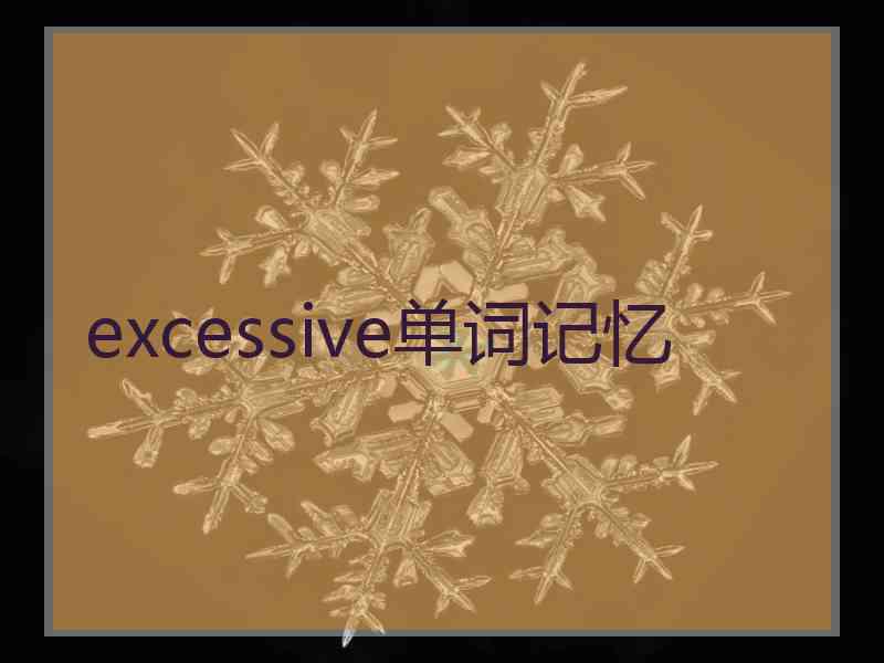 excessive单词记忆