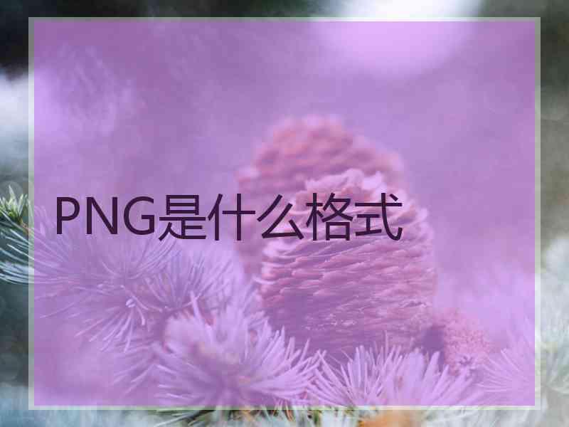 PNG是什么格式