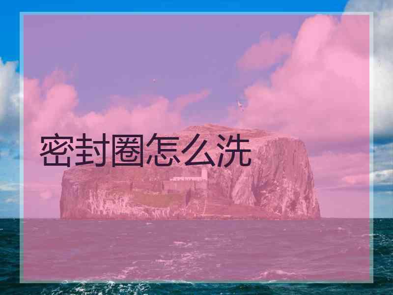 密封圈怎么洗