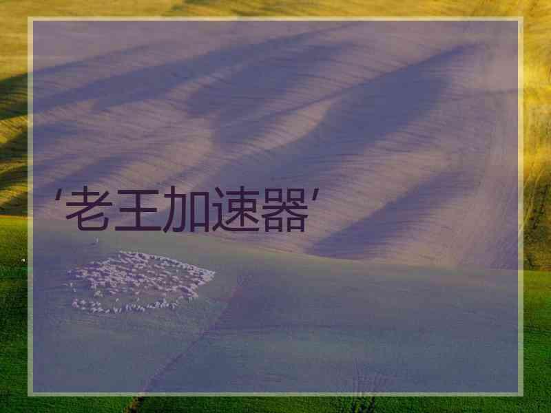 ‘老王加速器’