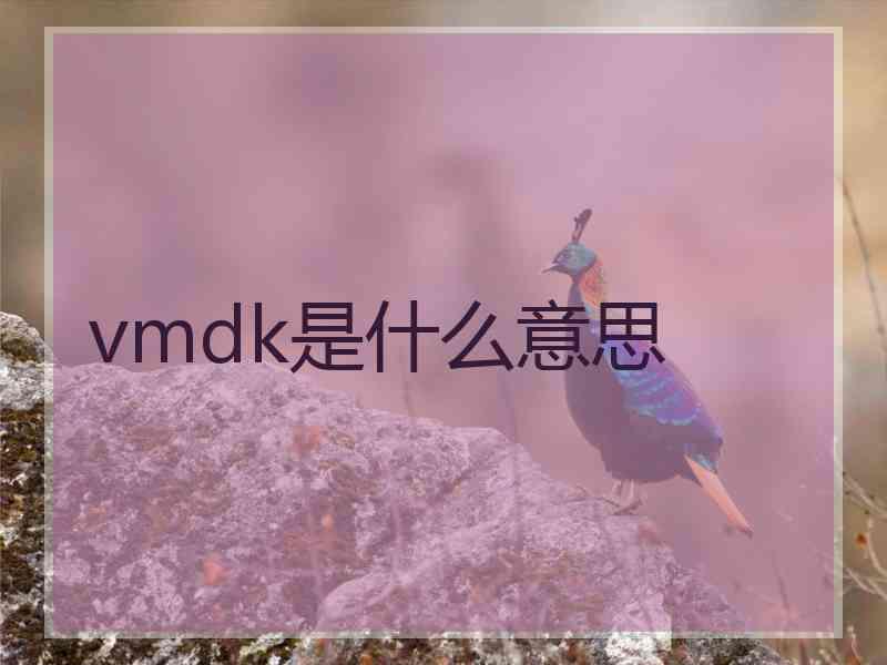 vmdk是什么意思