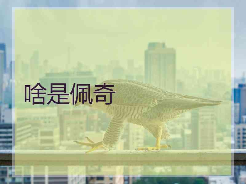 啥是佩奇