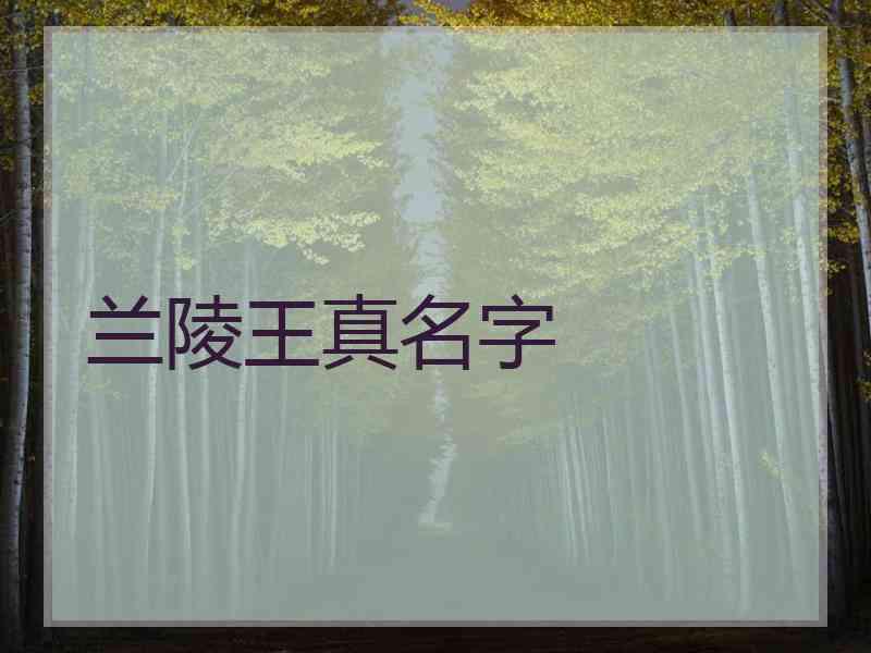 兰陵王真名字