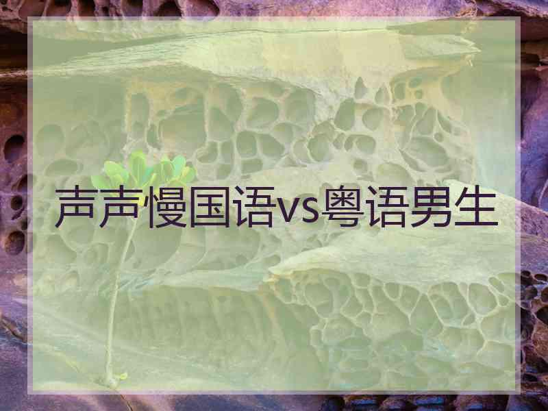 声声慢国语vs粤语男生
