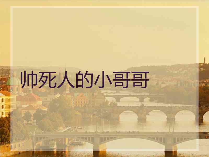 帅死人的小哥哥