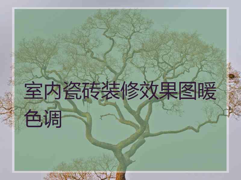 室内瓷砖装修效果图暖色调