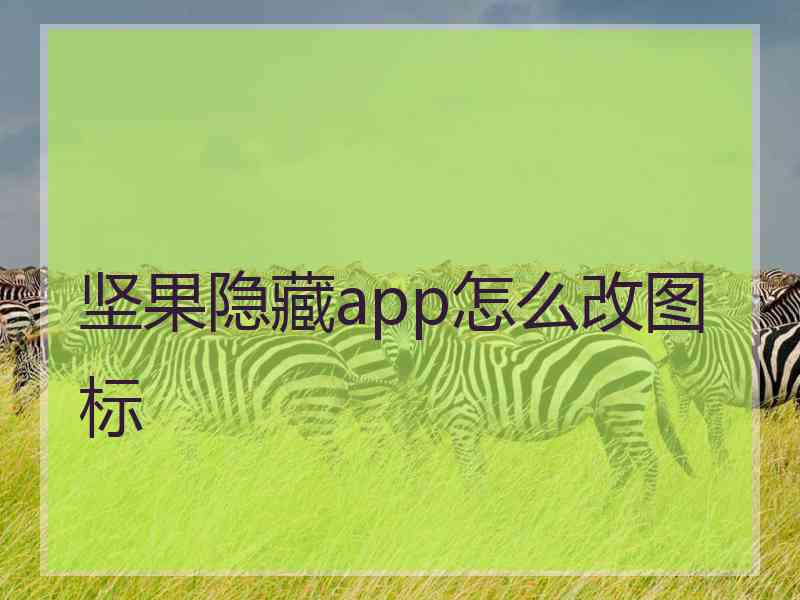 坚果隐藏app怎么改图标