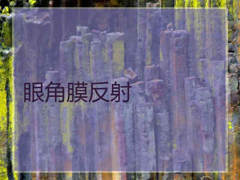 眼角膜反射