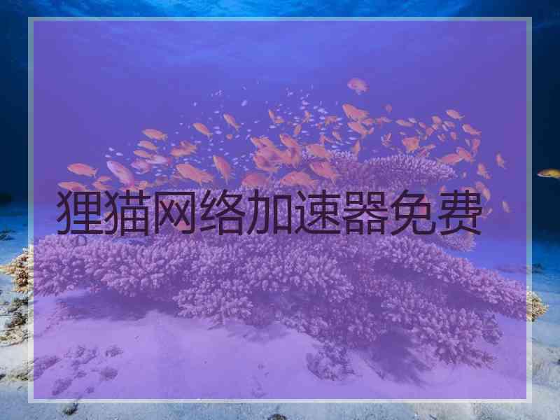 狸猫网络加速器免费