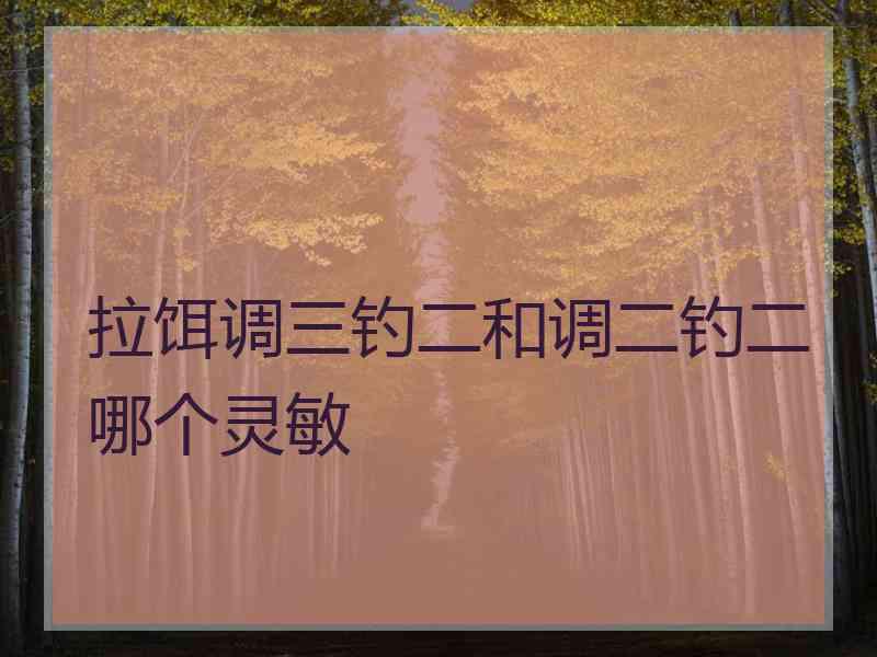 拉饵调三钓二和调二钓二哪个灵敏