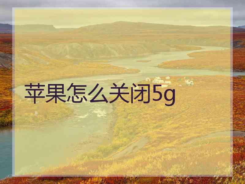 苹果怎么关闭5g