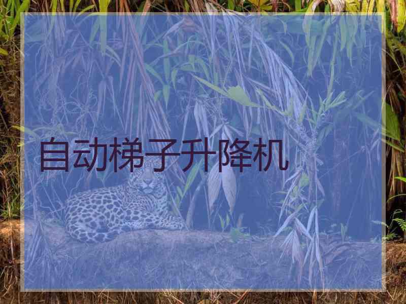 自动梯子升降机
