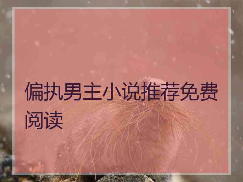 偏执男主小说推荐免费阅读