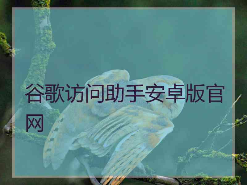 谷歌访问助手安卓版官网